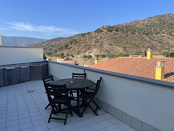 One-bedroom penthouse with large terrace.