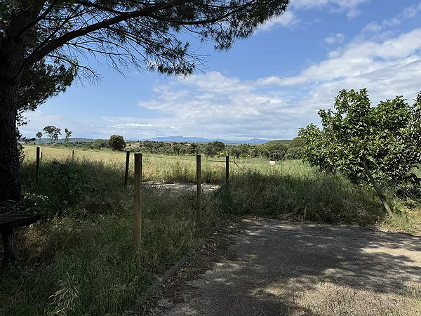 Propietat amb ampli jardí a Palau de Santa Eulàlia